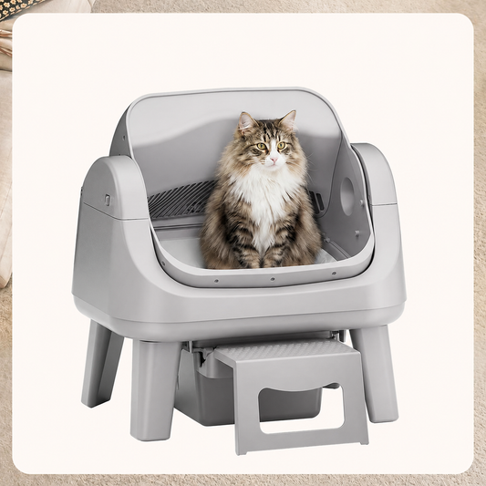 Ovoluxa AutoScooper 12 Lite — Self-Cleaning Cat Litter Box | No App, Triple Safety, Easy Entry