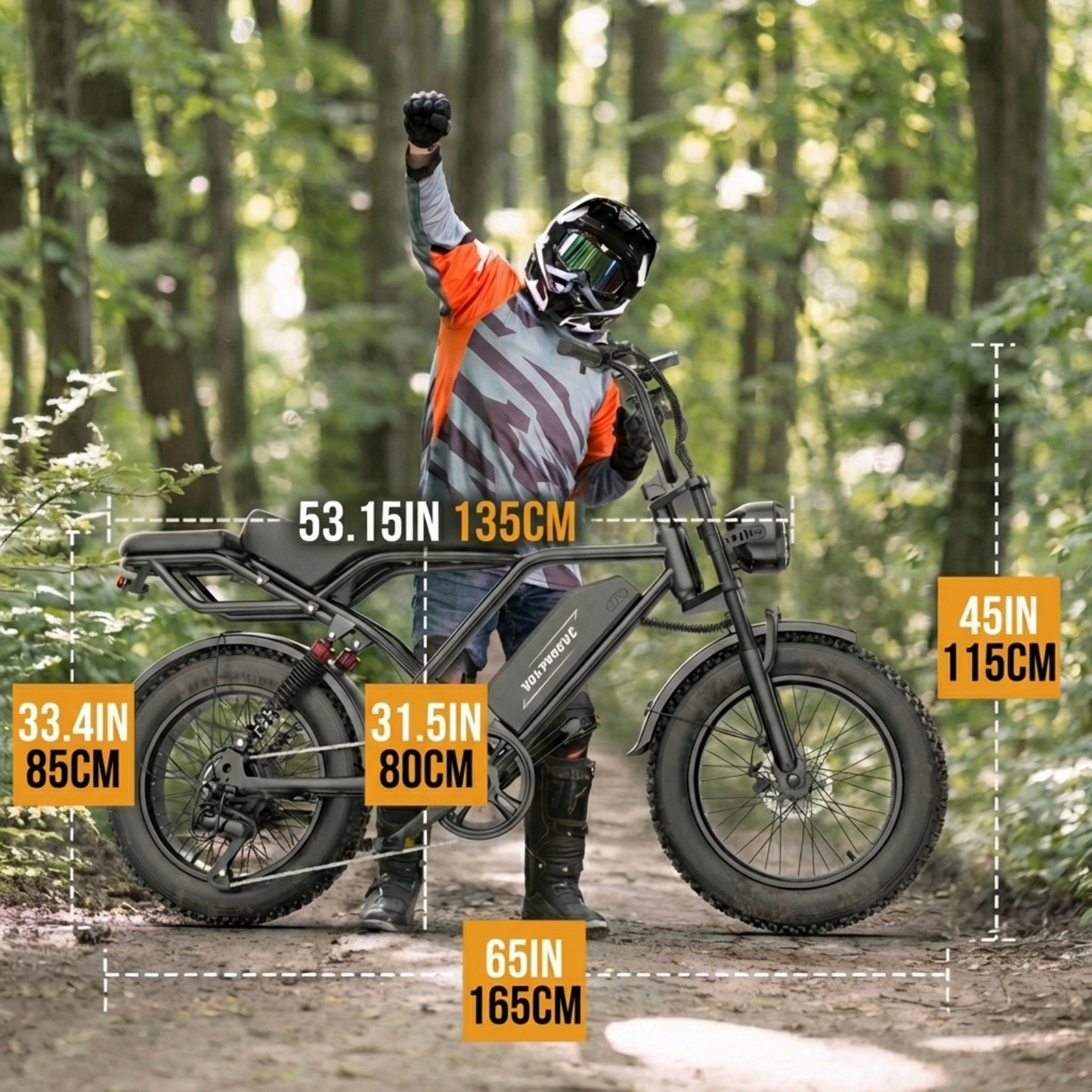 VOLTVOGUE Electric Bike VIP