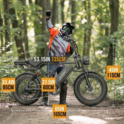 VOLTVOGUE Electric Bike VIP