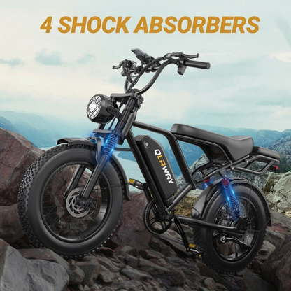 VOLTVOGUE Electric Bike VIP